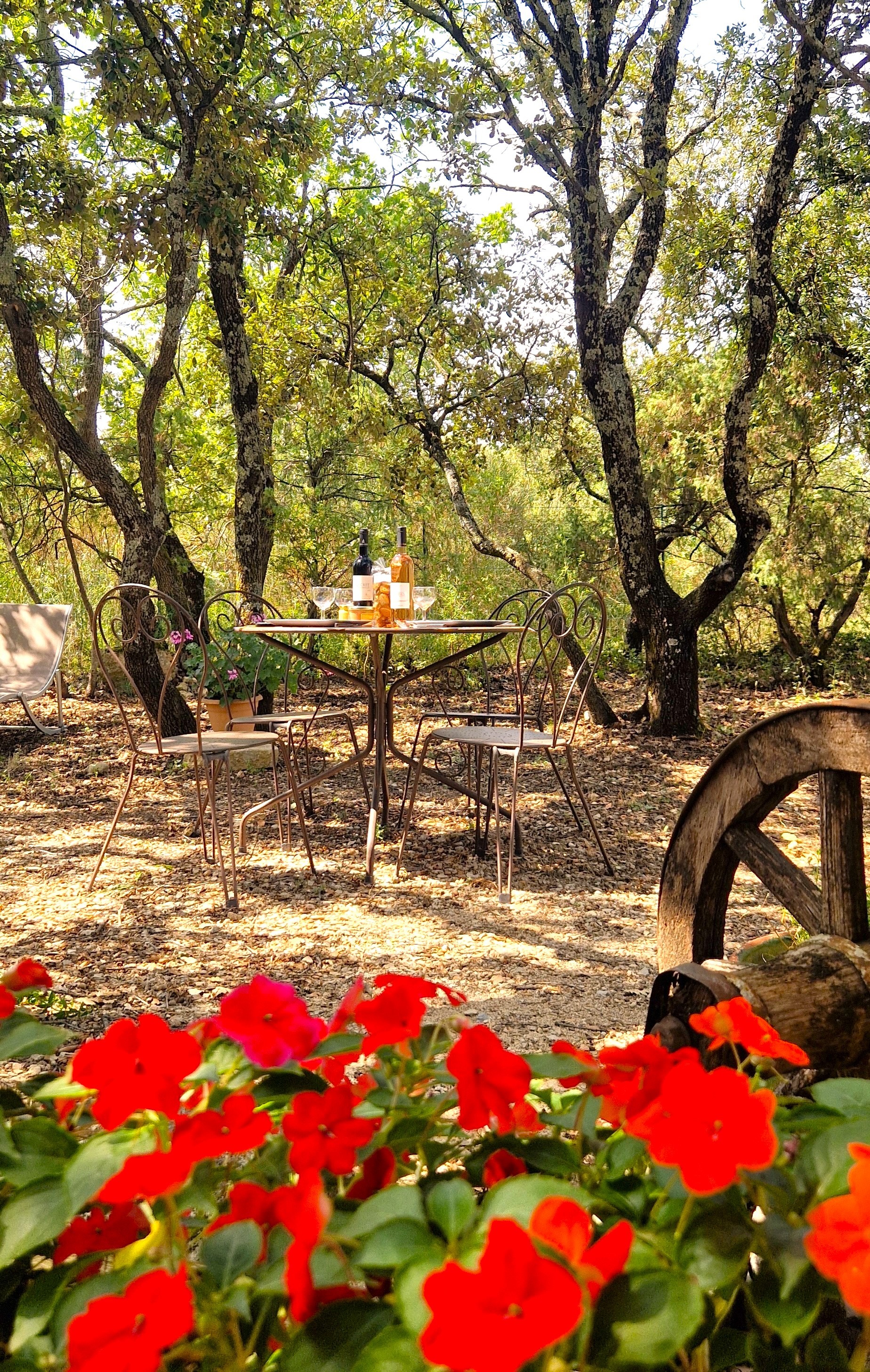 Photo n° 15 de la location