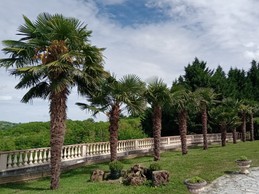 Image n° 4 de la location