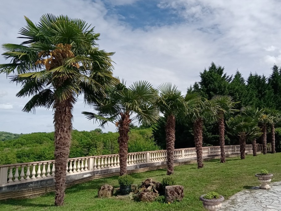 Photo n° 4 de la location