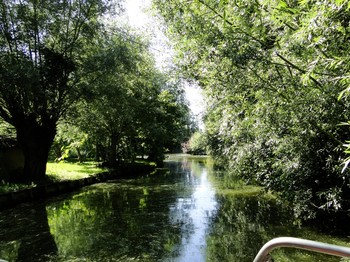 Quiétude assurée dans les marais