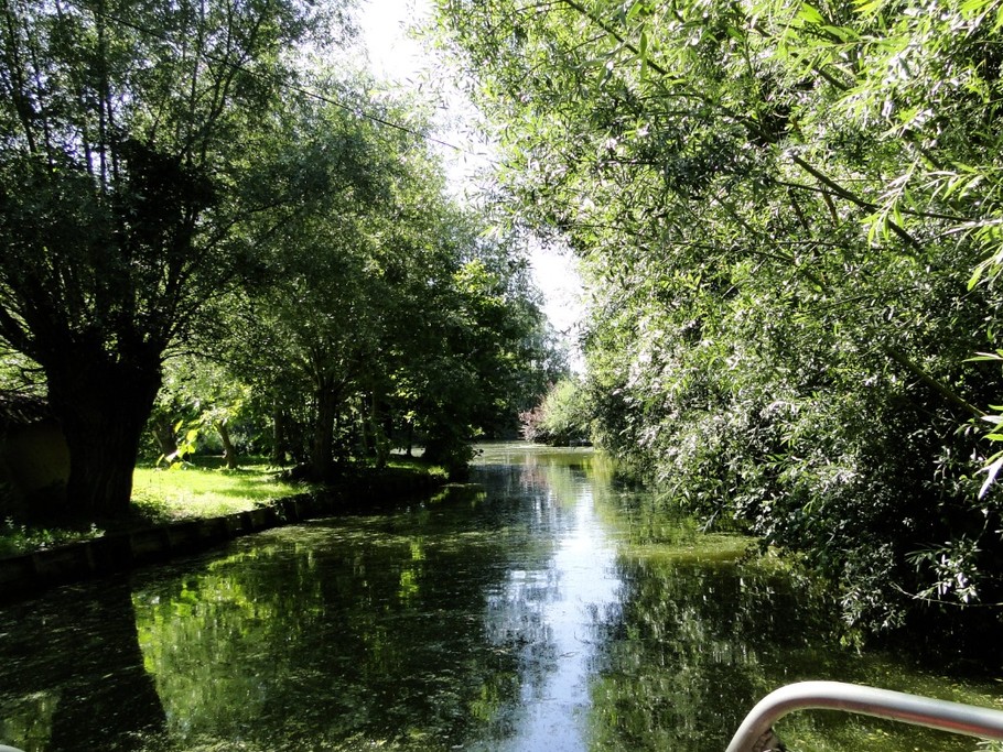 Quiétude assurée dans les marais