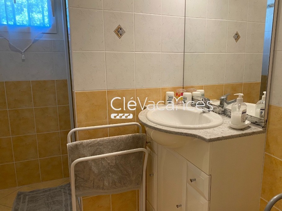 Salle d'eau : douche et 1 vasque