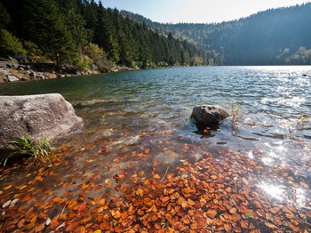 © M. Laurent-Lorraine Tourisme -Lac des Corbeaux-LA BRESSE