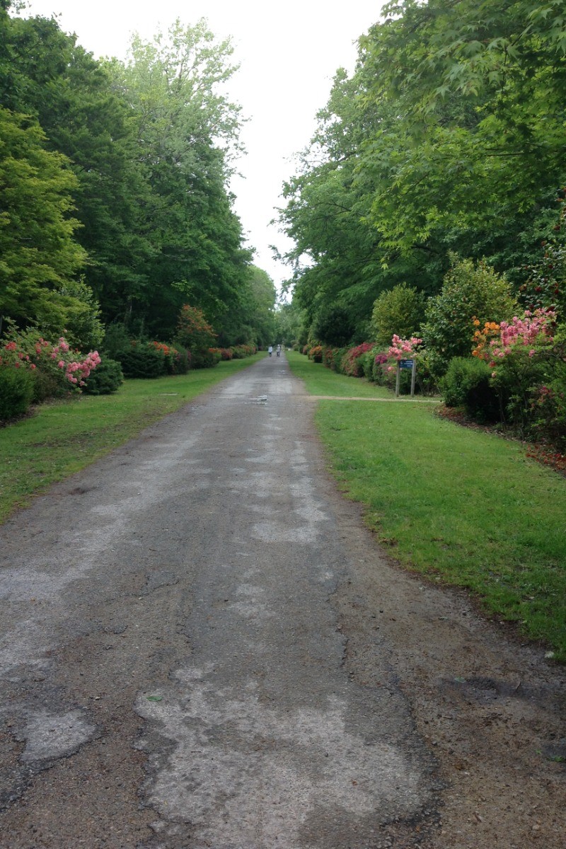 L' allée de Kéravéon ERDEVEN