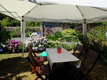 Le barnum et son salon