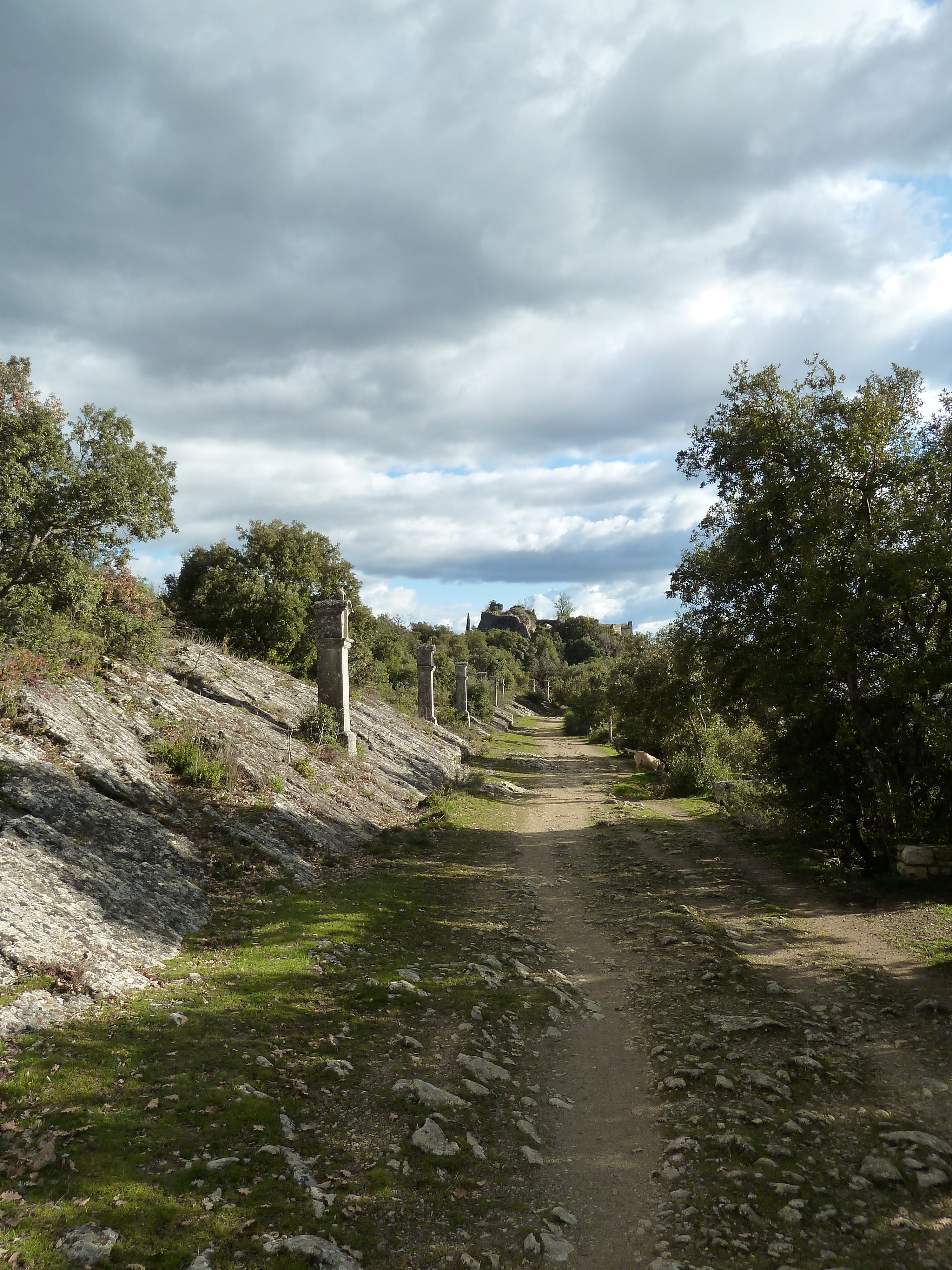 Photo n° 10 de la location