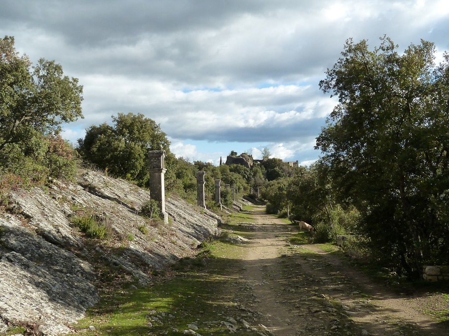 Photo n° 10 de la location