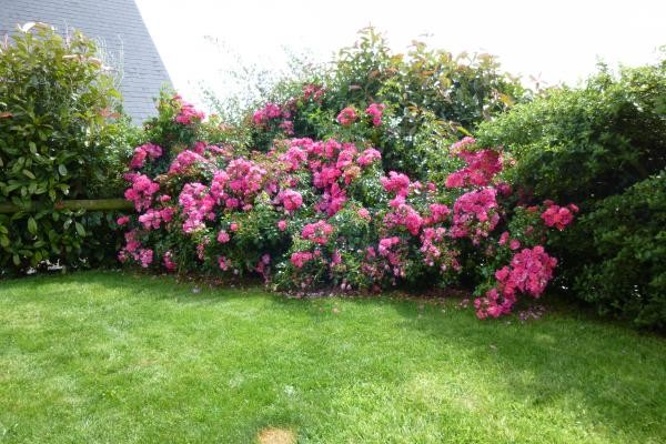 Photo n° 3 of the location