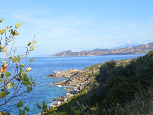 location vacances Corse Balagne