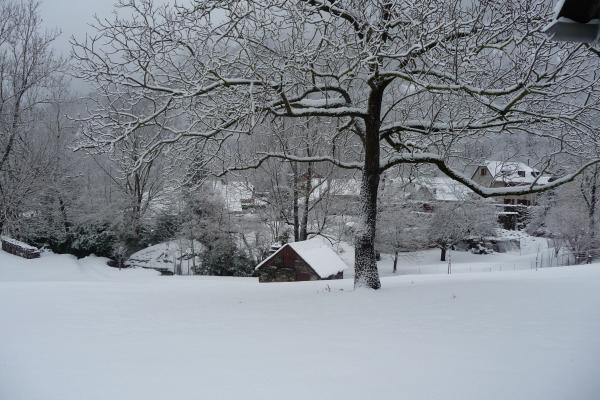 moulin en hiver