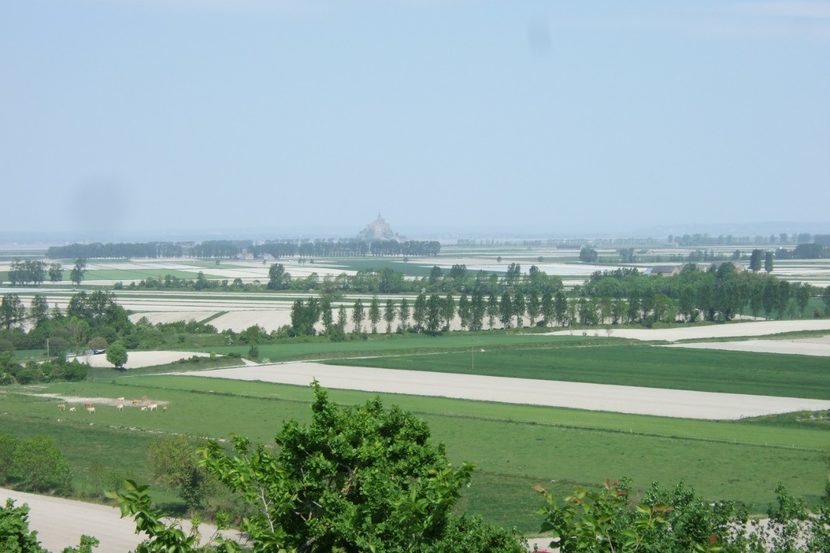 Polder dans la Baie du Mont Saint-Michel.
Crédits photo : ADT 35 COCHERIE-Angélique