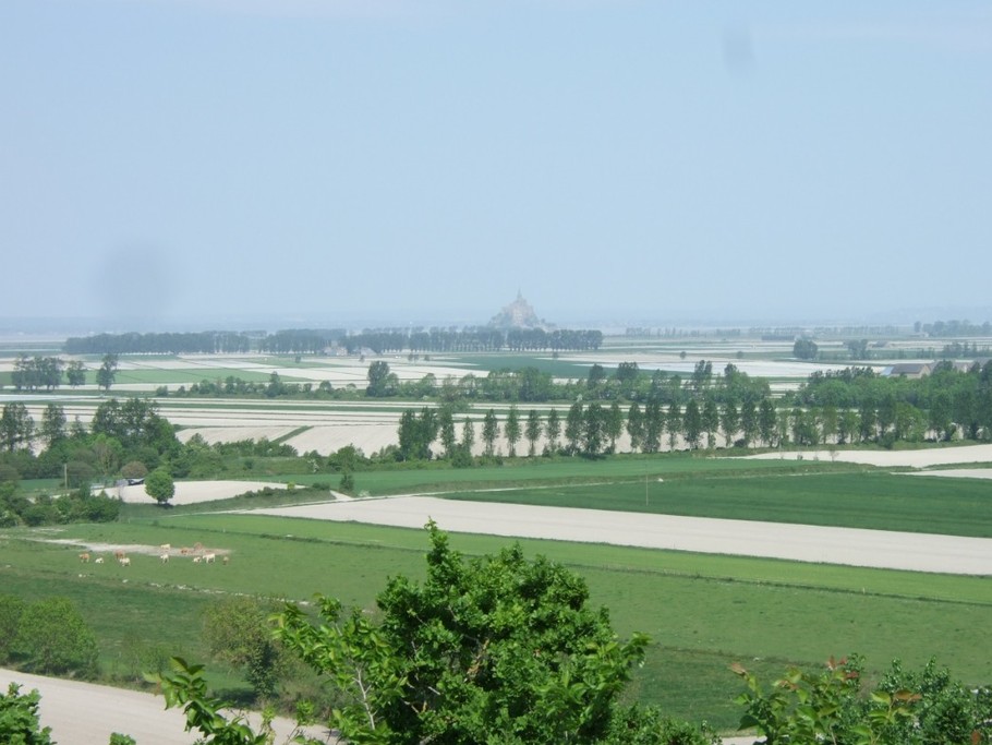 Polder dans la Baie du Mont Saint-Michel.
Crédits photo : ADT 35 COCHERIE-Angélique