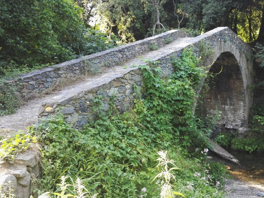 Pont génois à 10 minutes de route de la villa "Etoile de Mer", enjambant le Bucatoggio.