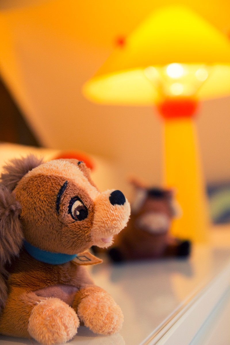 Photo n° 19 de la location