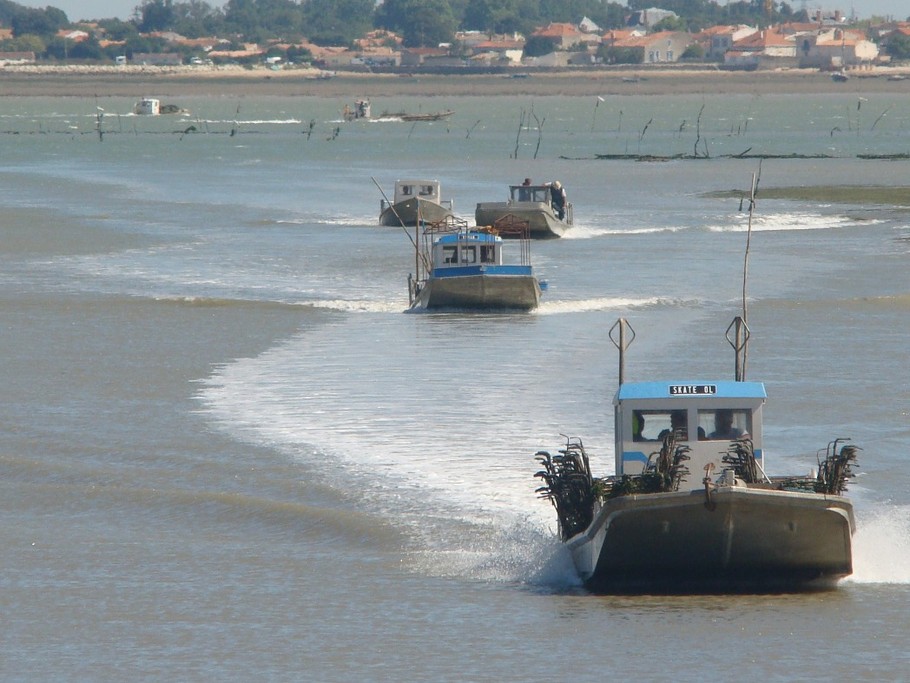 LE CHATEAU-D'OLERON - Ostréiculture © CMT17 A. BIRARD