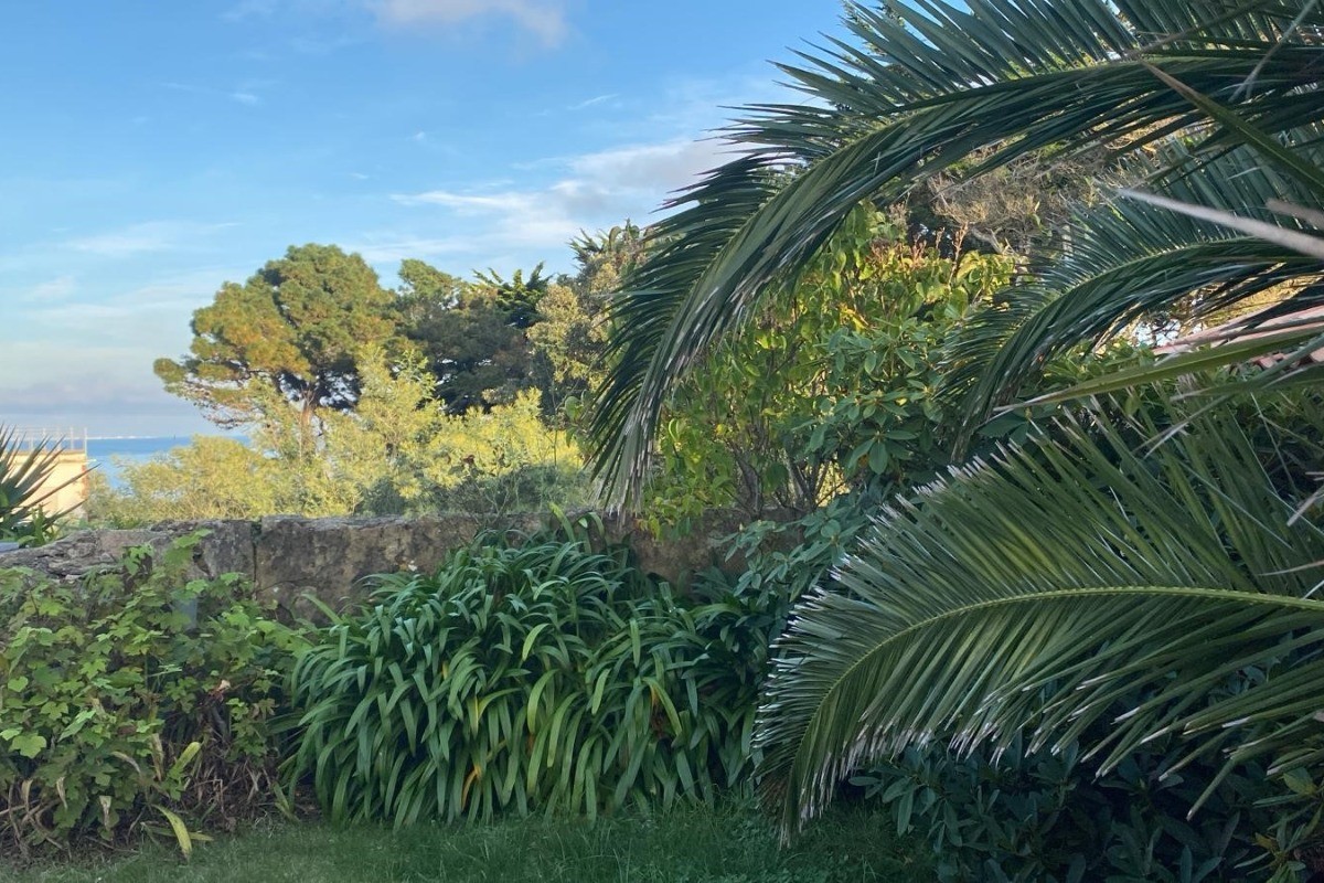 Photo n° 10 of the location