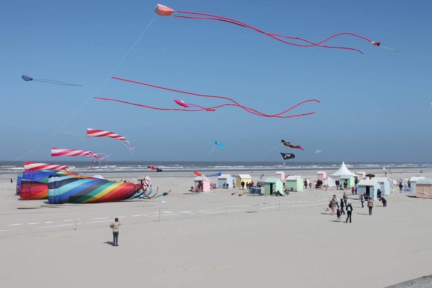 Cerfs-Volants de Berck-sur-Mer