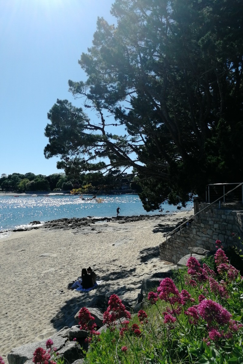 Plage tout proche de la location