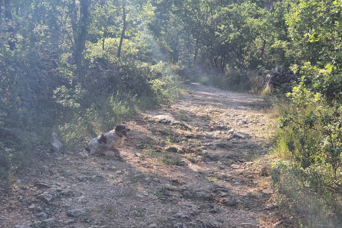 Au pied des chemins de randonnées