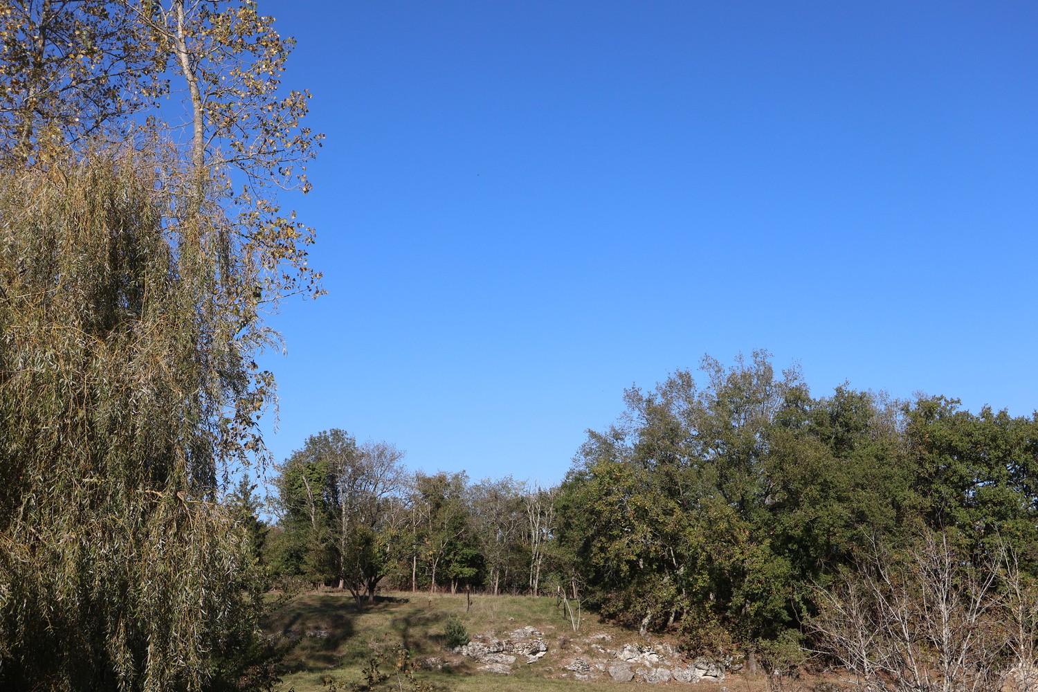 Roulottes & Spa - hébergements insolites - Terra Bulle Lot-et-Garonne