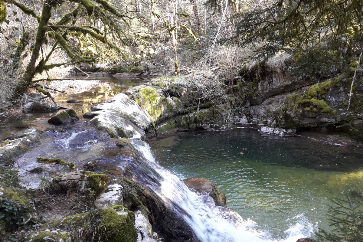 La Sirène, notre rivière sauvage