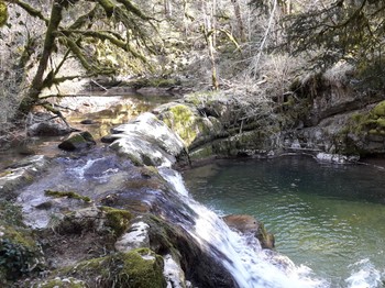 La Sirène, notre rivière sauvage