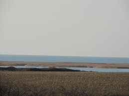 face à la mer