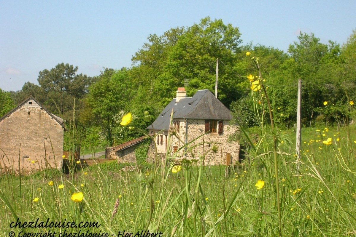 Chez la Louise Vue d'ensemble sur gîte