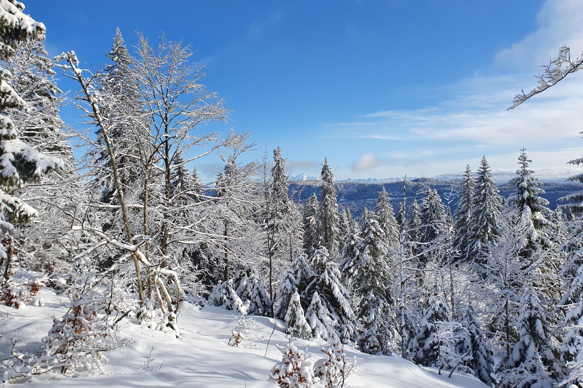 La Serra - vue du sommet de la piste bleue