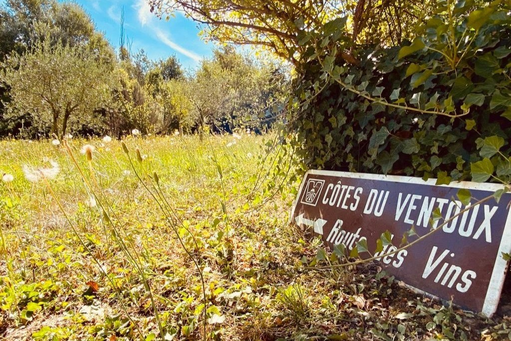 Photo n° 20 of the location