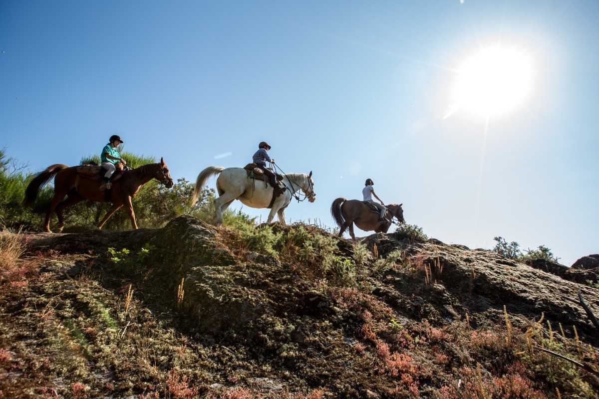 Randonnée à cheval à Guichen
Crédits photo : CRTB BOURCIER-Simon
