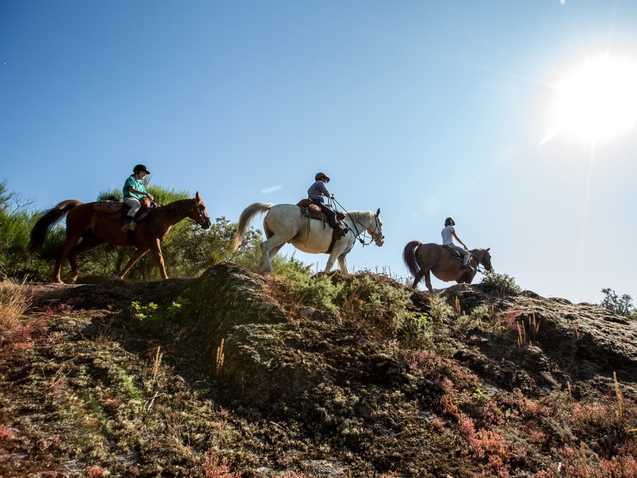 Randonnée à cheval à Guichen
Crédits photo : CRTB BOURCIER-Simon
