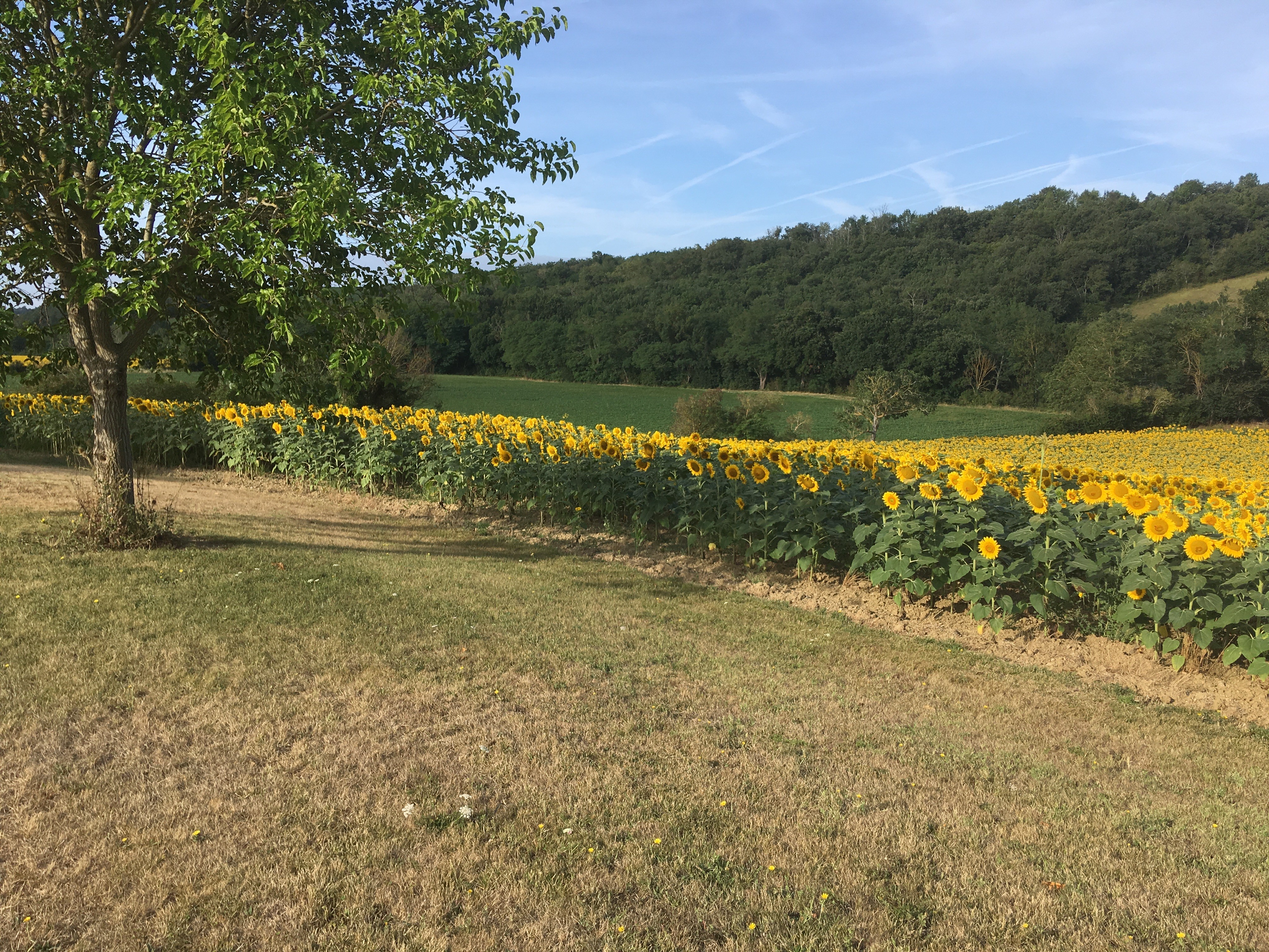 Photo n° 9 of the location