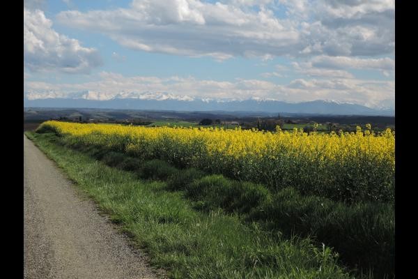Une vue près du gite en avril 2016