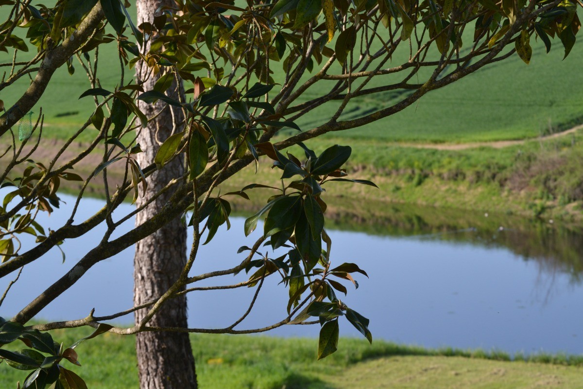 Clevacances - Gîte Chez Franssou Graulhet dans le Tarn en Occitanie - vue sur le lac