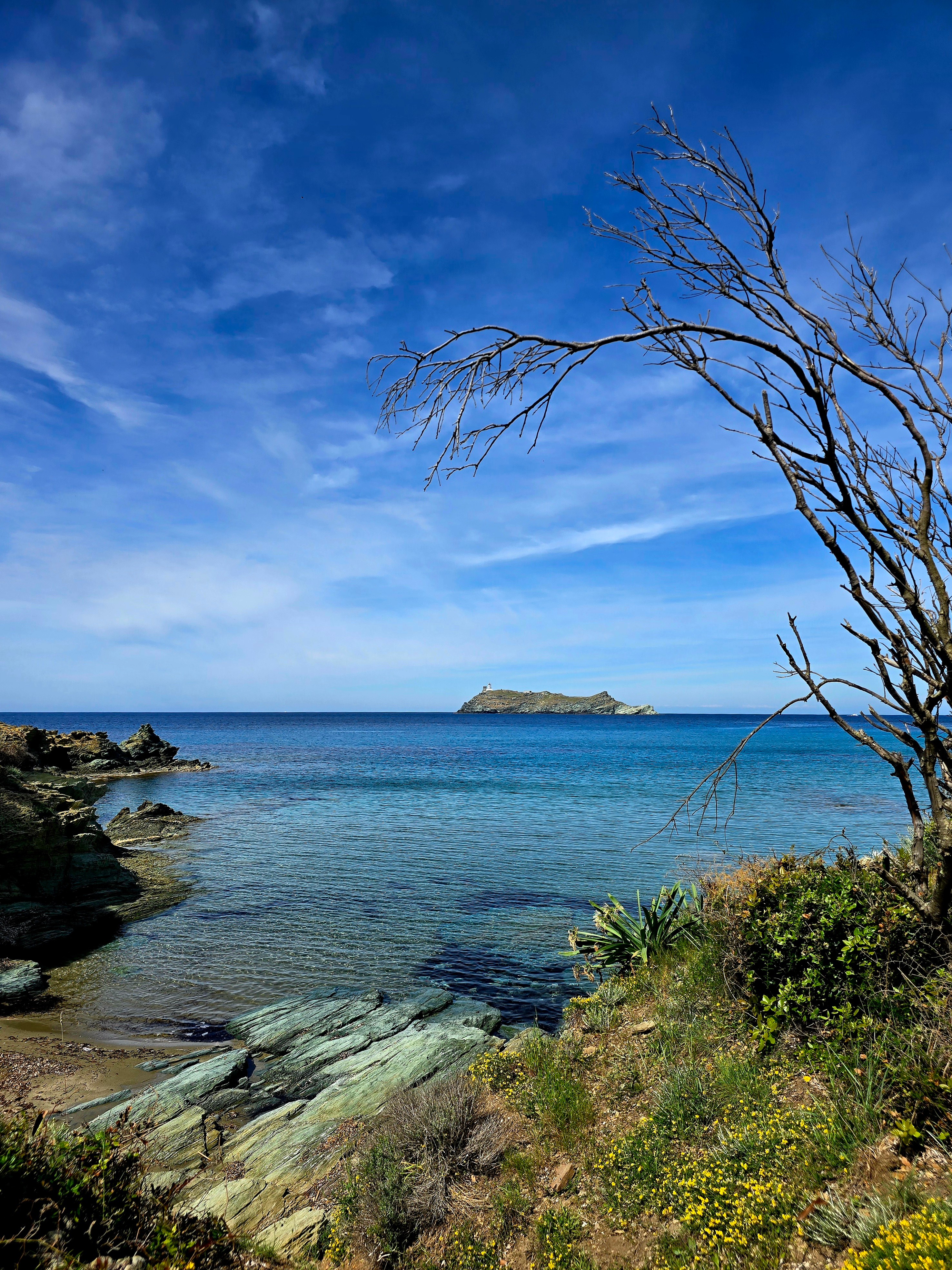 the cove