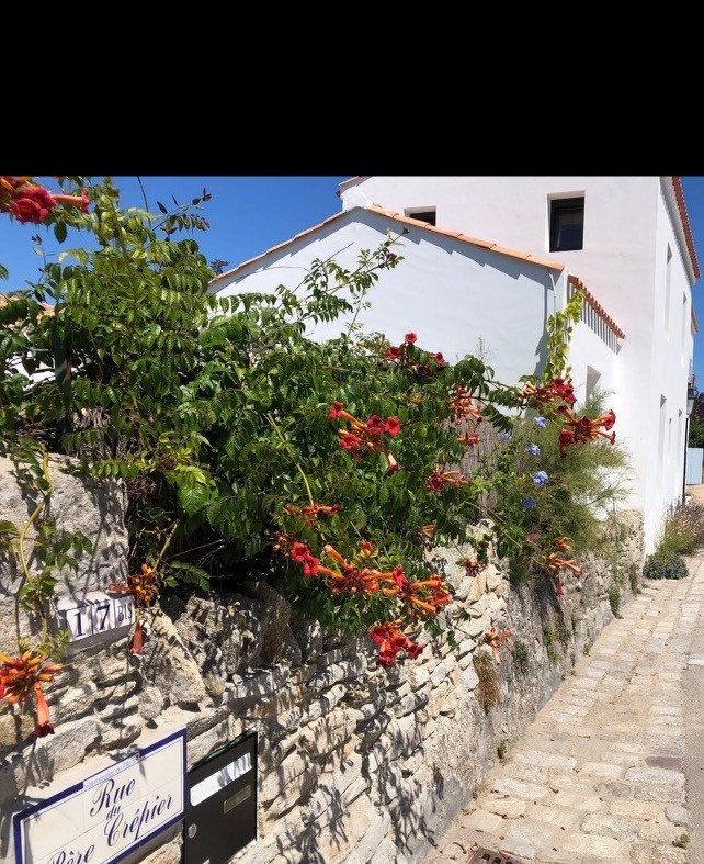 La mer, au bout de la rue du Père Crêpier.