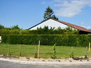 Photo n° 16 de la location
