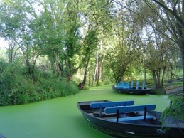 Image n° 3 de la location