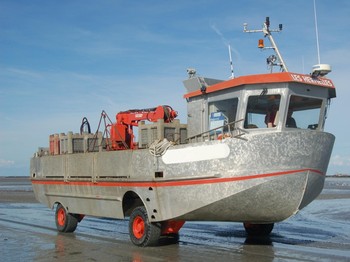 Bateau amphibie utilisé dans la Baie du Mont Saint-Michel pour la récolte des moules de bouchot, que vous croiserez probablement sur la route !
Crédits photo : ADT 35 GUERIN-Tiphaine