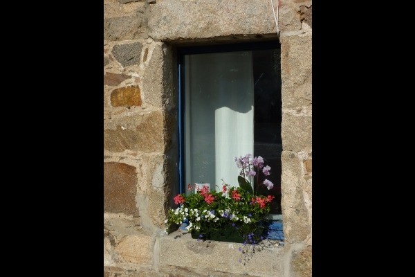 Location, 4 personnes, Ploubazlanec, secteur Paimpol, Ile de Bréhat