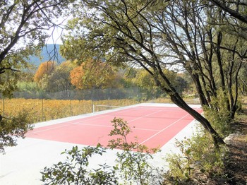 Le tennis privé dans le parc