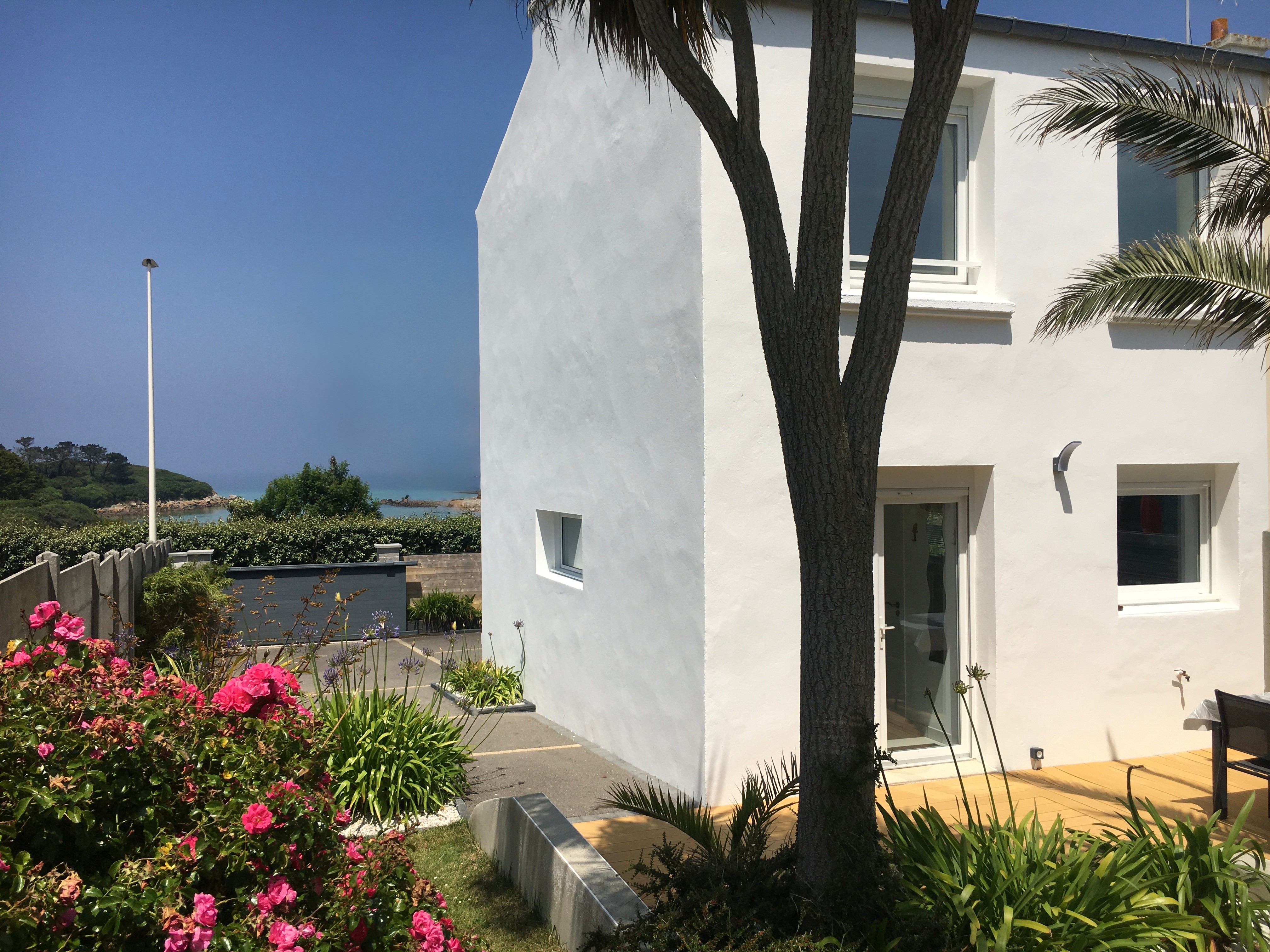 View of the garden