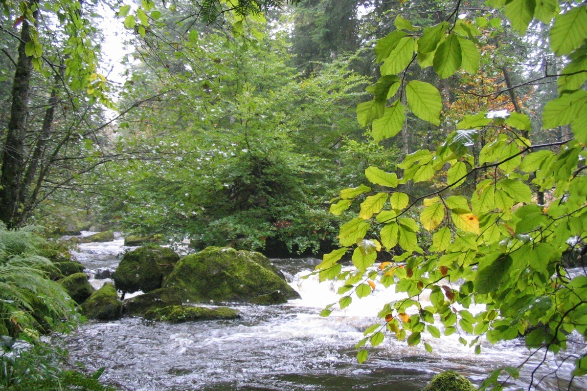 Photo n° 19 de la location