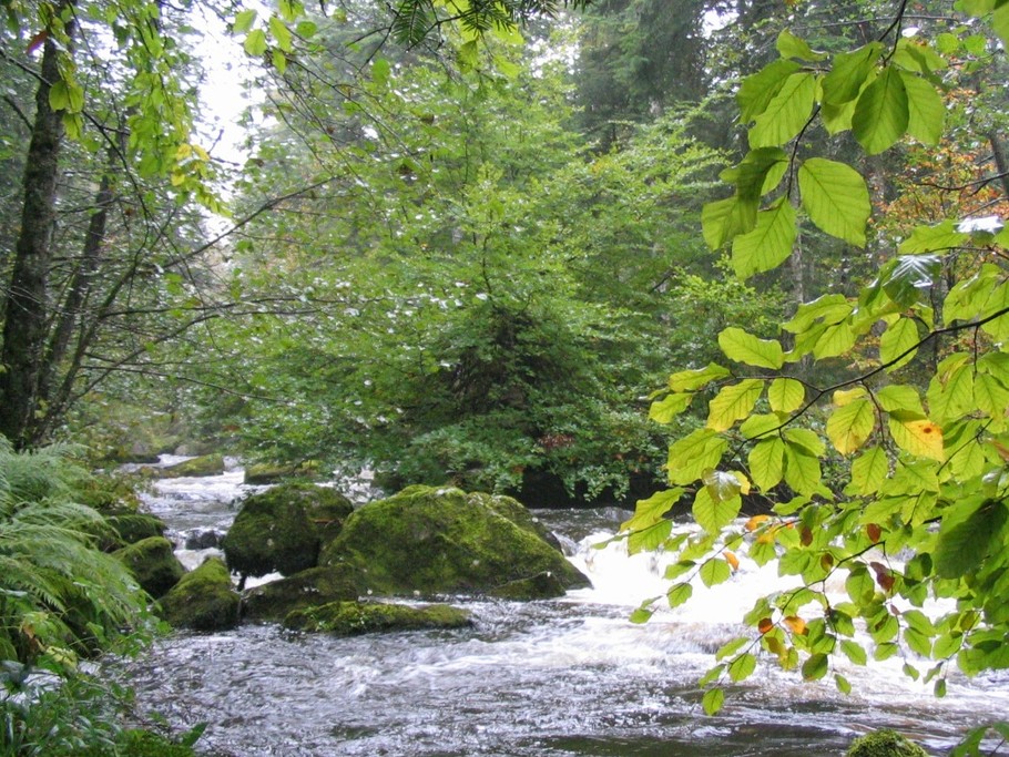 Photo n° 19 de la location