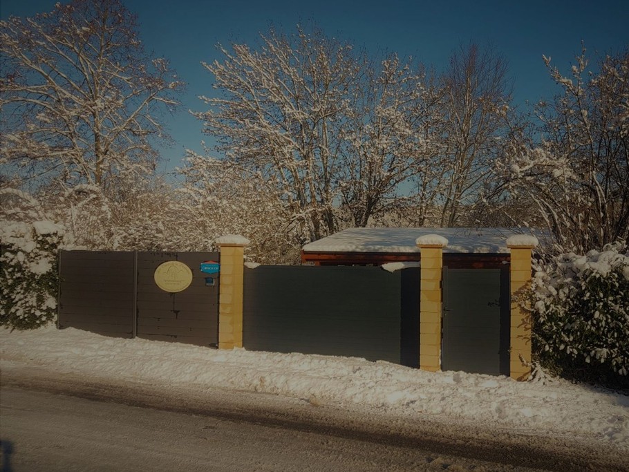 entrée janvier 2021