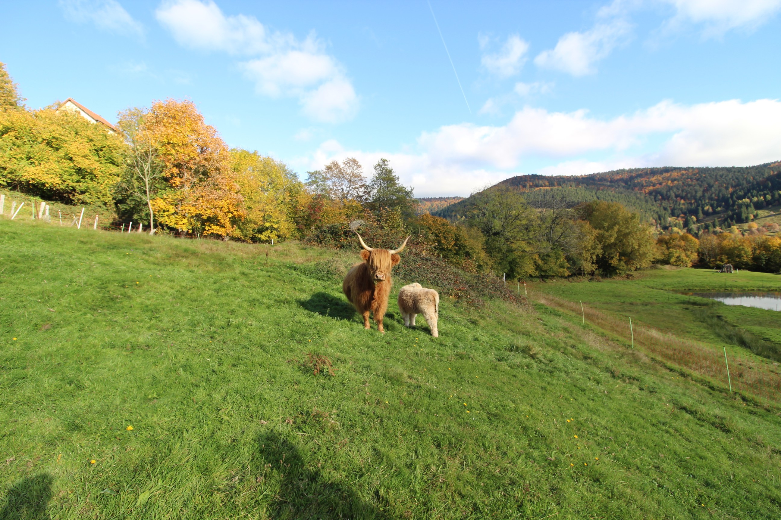 Photo n° 21 de la location