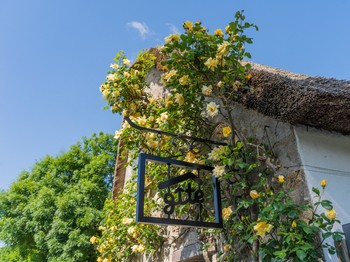 Pignon  et Entrée indépendante de la Chaumière Anouck