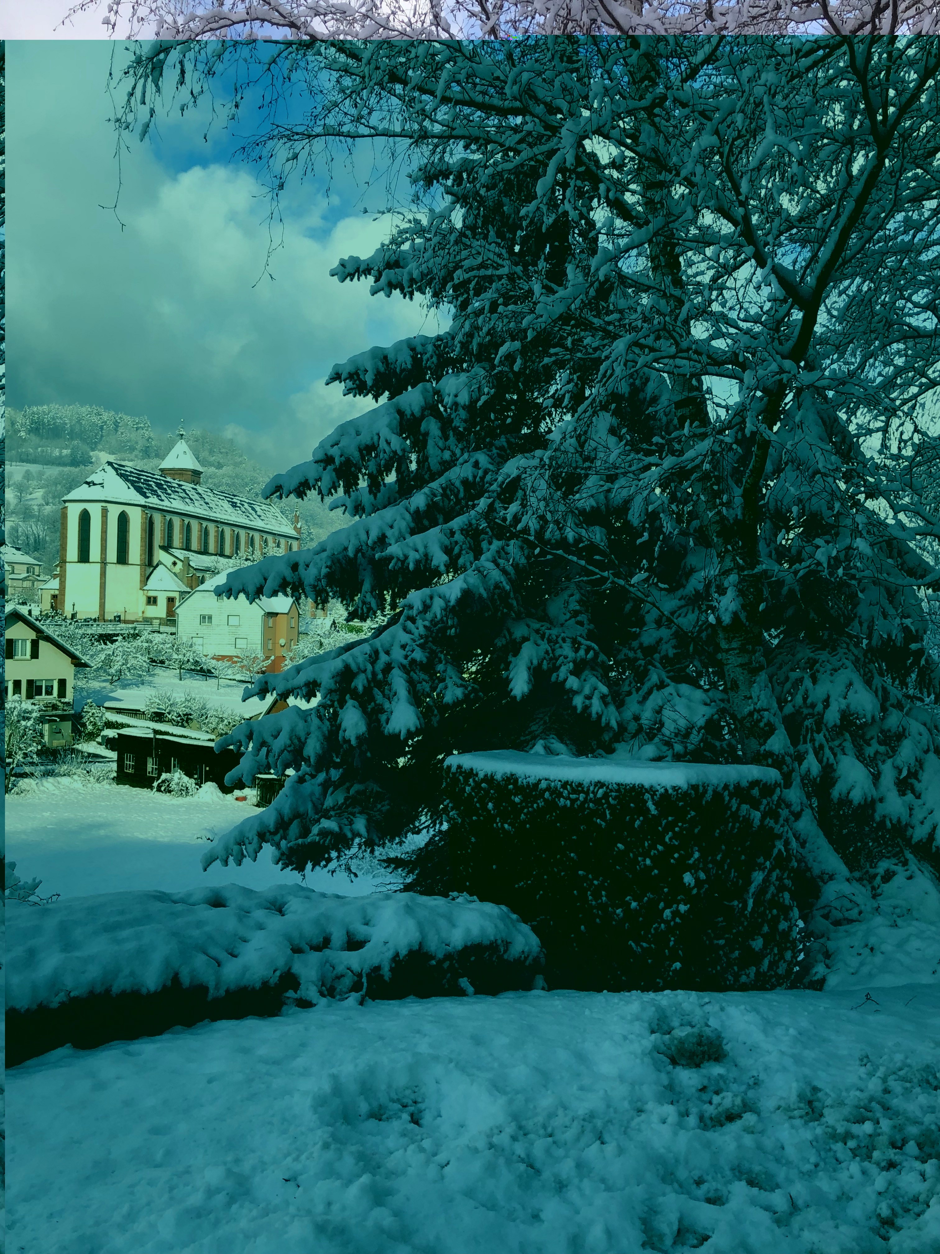 Photo n° 3 de la location