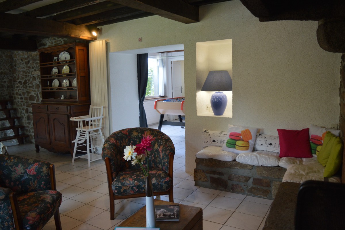 le salon- cheminée